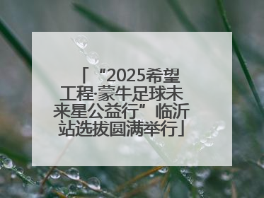 “2025希望工程·蒙牛足球未来星公益行”临沂站选拔圆满举行