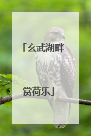 玄武湖畔赏荷乐