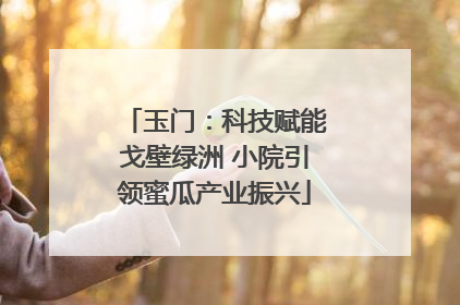 玉门：科技赋能戈壁绿洲 小院引领蜜瓜产业振兴