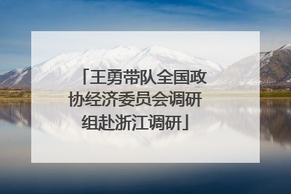 王勇带队全国政协经济委员会调研组赴浙江调研
