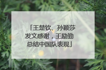 王楚钦、孙颖莎发文感谢，王励勤总结中国队表现