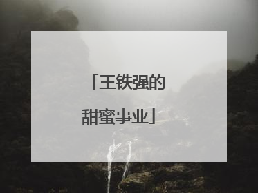 王铁强的甜蜜事业