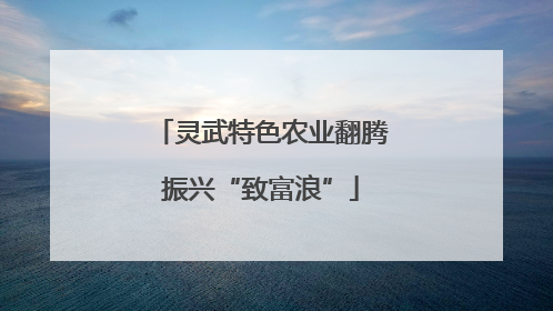 灵武特色农业翻腾振兴“致富浪”