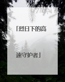 烈日下的高速守护者