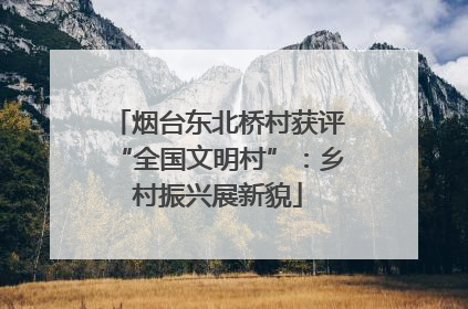 烟台东北桥村获评“全国文明村”：乡村振兴展新貌