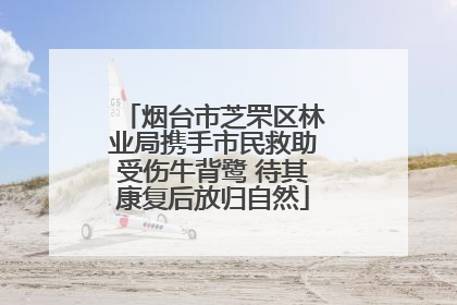 烟台市芝罘区林业局携手市民救助受伤牛背鹭 待其康复后放归自然
