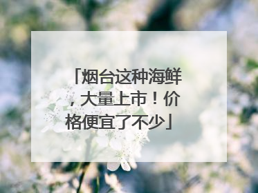 烟台这种海鲜，大量上市！价格便宜了不少