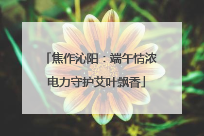 焦作沁阳：端午情浓 电力守护艾叶飘香
