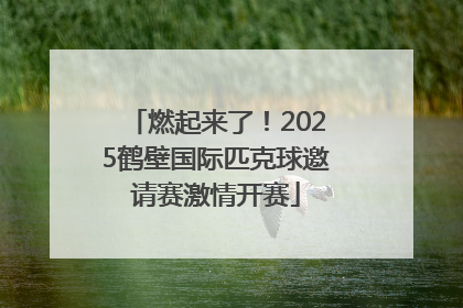 燃起来了！2025鹤壁国际匹克球邀请赛激情开赛