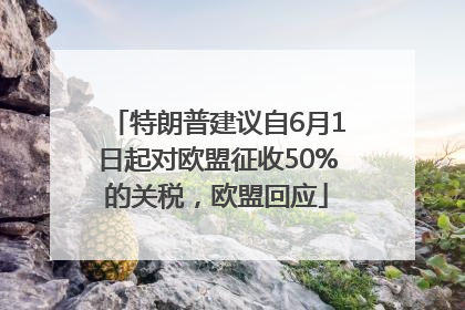 特朗普建议自6月1日起对欧盟征收50%的关税，欧盟回应