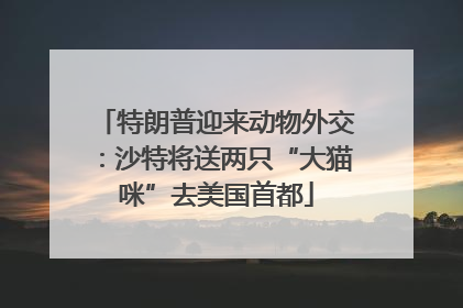 特朗普迎来动物外交：沙特将送两只“大猫咪”去美国首都