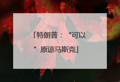 特朗普：“可以”原谅马斯克
