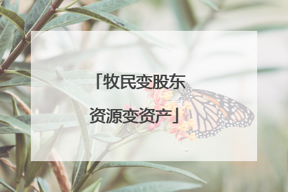 牧民变股东 资源变资产