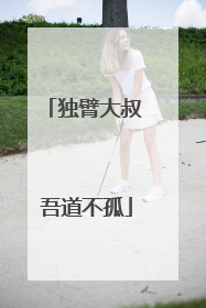独臂大叔 吾道不孤