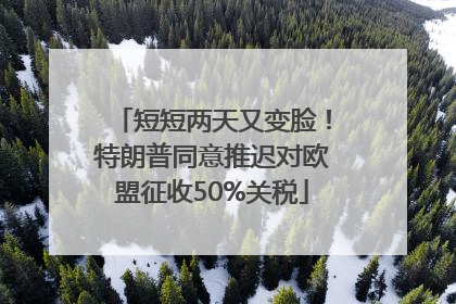 短短两天又变脸！特朗普同意推迟对欧盟征收50%关税
