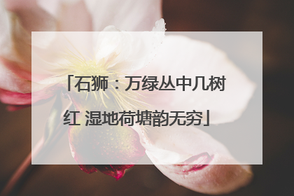 石狮：万绿丛中几树红 湿地荷塘韵无穷