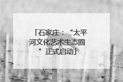 石家庄：“太平河文化艺术生态圈”正式启动