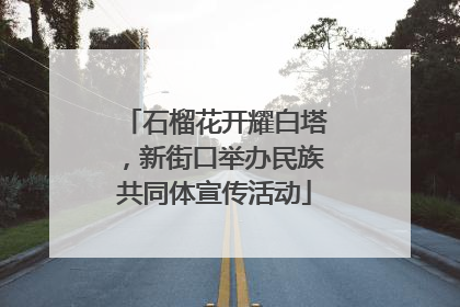 石榴花开耀白塔，新街口举办民族共同体宣传活动