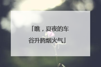 瞧，夏夜的车谷升腾烟火气