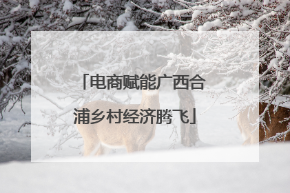 电商赋能广西合浦乡村经济腾飞