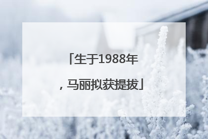 生于1988年，马丽拟获提拔