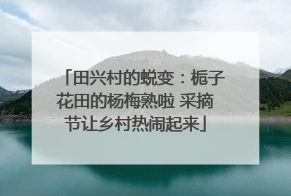 田兴村的蜕变：栀子花田的杨梅熟啦 采摘节让乡村热闹起来