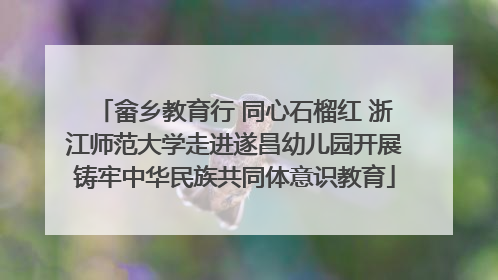 畲乡教育行 同心石榴红 浙江师范大学走进遂昌幼儿园开展铸牢中华民族共同体意识教育
