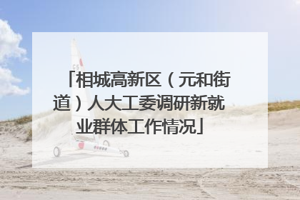 相城高新区（元和街道）人大工委调研新就业群体工作情况