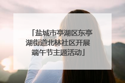 盐城市亭湖区东亭湖街道北林社区开展端午节主题活动