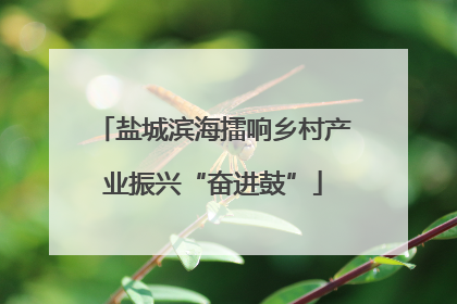 盐城滨海擂响乡村产业振兴“奋进鼓”