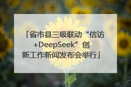 省市县三级联动“信访+DeepSeek”创新工作新闻发布会举行