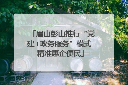 眉山彭山推行“党建+政务服务”模式 精准惠企便民