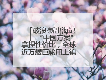 破浪·新出海记丨 “中国方案”拿捏性价比，全球近万艘巨轮用上镇江“节能桨”