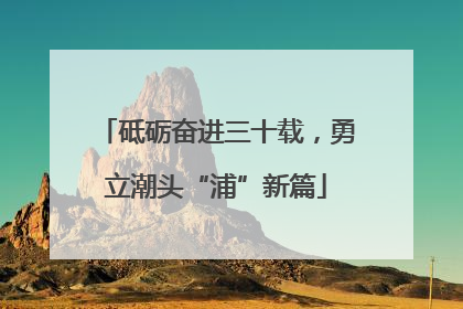 砥砺奋进三十载，勇立潮头“浦”新篇
