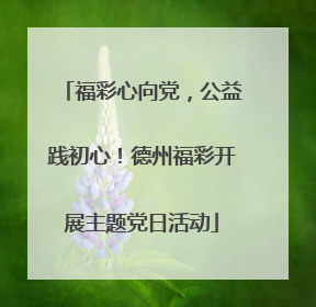 福彩心向党，公益践初心！德州福彩开展主题党日活动