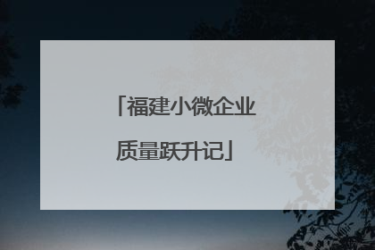 福建小微企业质量跃升记
