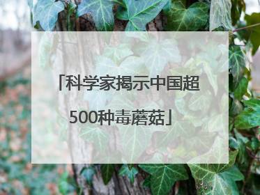 科学家揭示中国超500种毒蘑菇