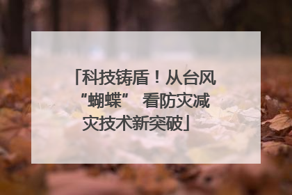 科技铸盾！从台风“蝴蝶” 看防灾减灾技术新突破