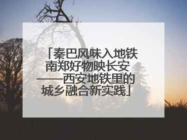 秦巴风味入地铁 南郑好物映长安——西安地铁里的城乡融合新实践