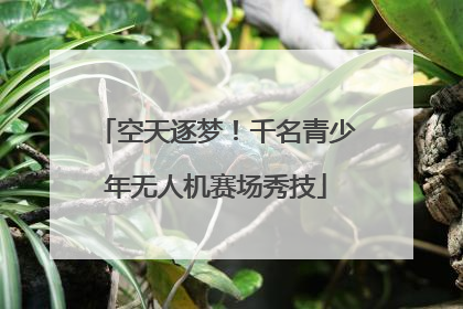 空天逐梦！千名青少年无人机赛场秀技