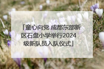 童心向党 成都东部新区石盘小学举行2024级新队员入队仪式