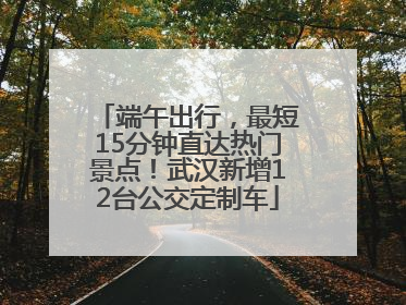 端午出行，最短15分钟直达热门景点！武汉新增12台公交定制车