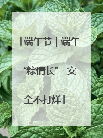 端午节｜端午“粽情长” 安全不打烊