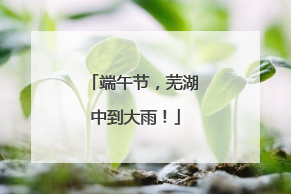 端午节，芜湖中到大雨！