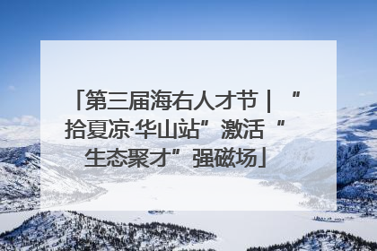 第三届海右人才节｜“拾夏凉·华山站”激活“生态聚才”强磁场