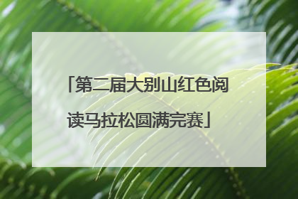 第二届大别山红色阅读马拉松圆满完赛