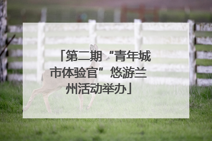 第二期“青年城市体验官”悠游兰州活动举办