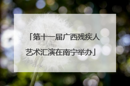 第十一届广西残疾人艺术汇演在南宁举办