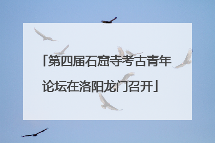 第四届石窟寺考古青年论坛在洛阳龙门召开