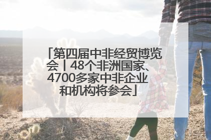 第四届中非经贸博览会丨48个非洲国家、4700多家中非企业和机构将参会
